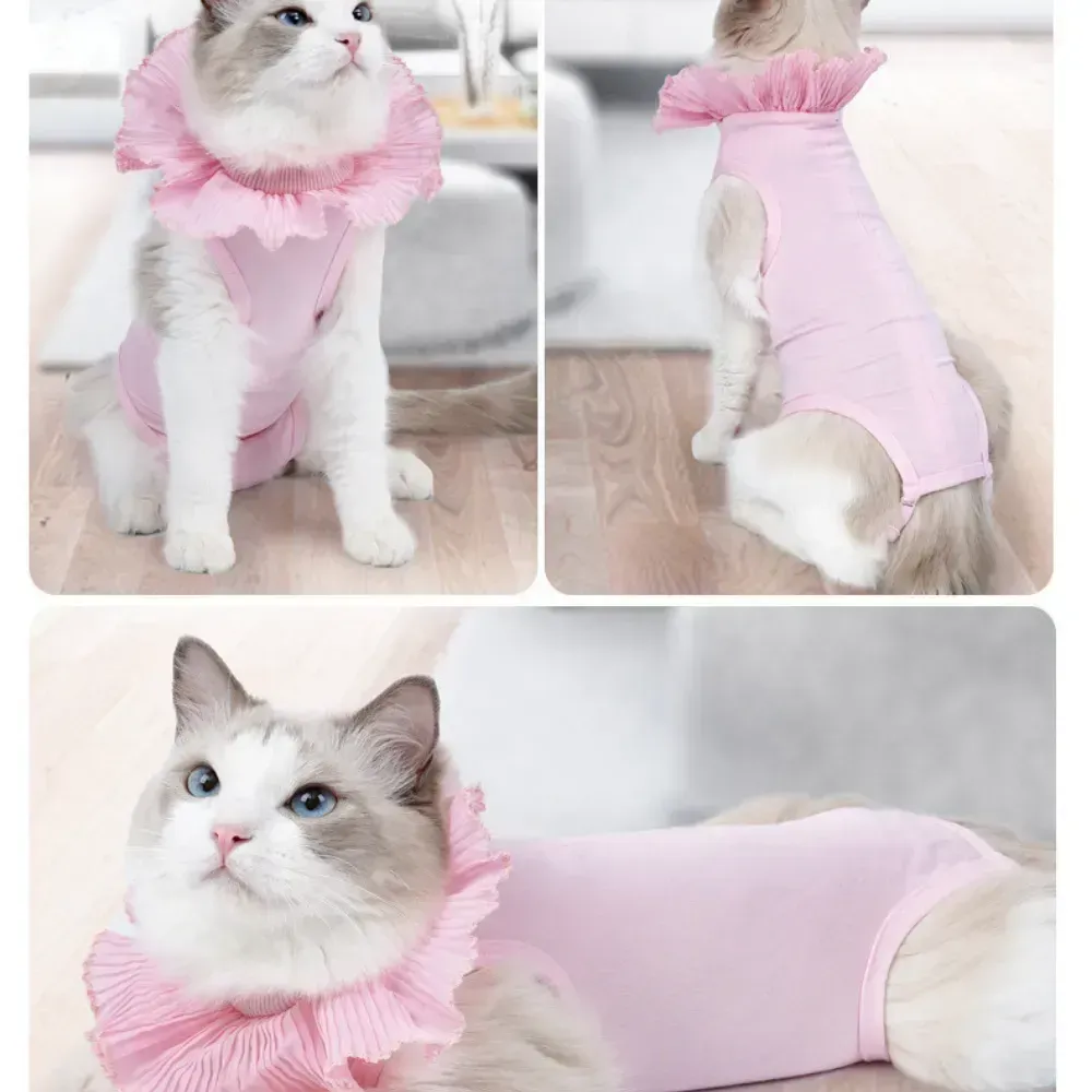 Soft cat recovery suit Soft cat recovery suit
