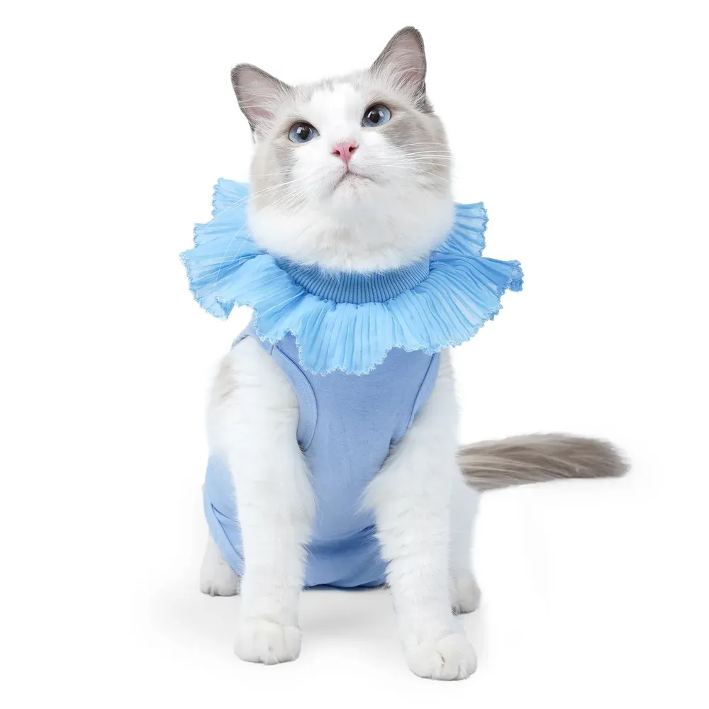 Sku Cat Suit Sku Cat Suit