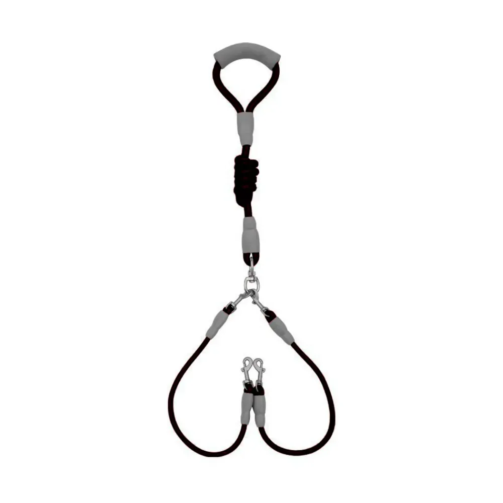 Dual Dog Leash for Walking Two Medium Dogs at Once