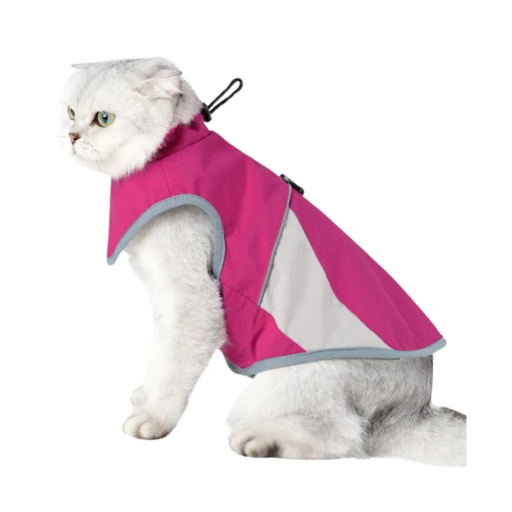 outdoor cat clothes outdoor cat clothes