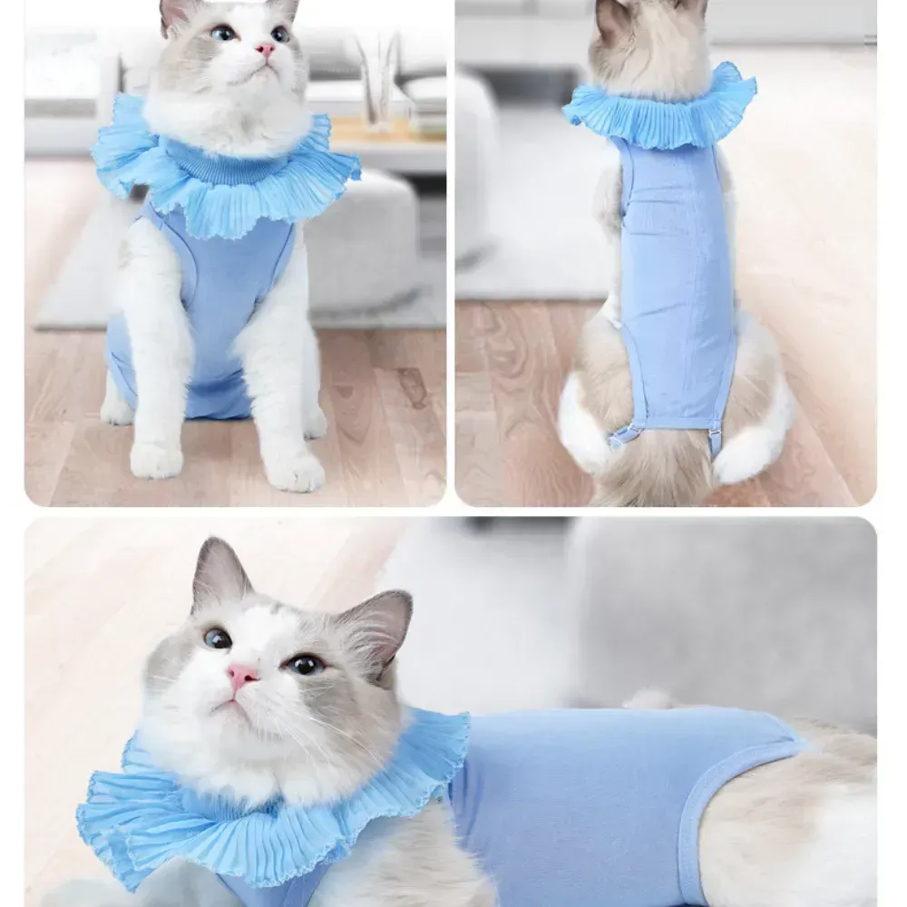 Blue cat recovery suit Blue cat recovery suit