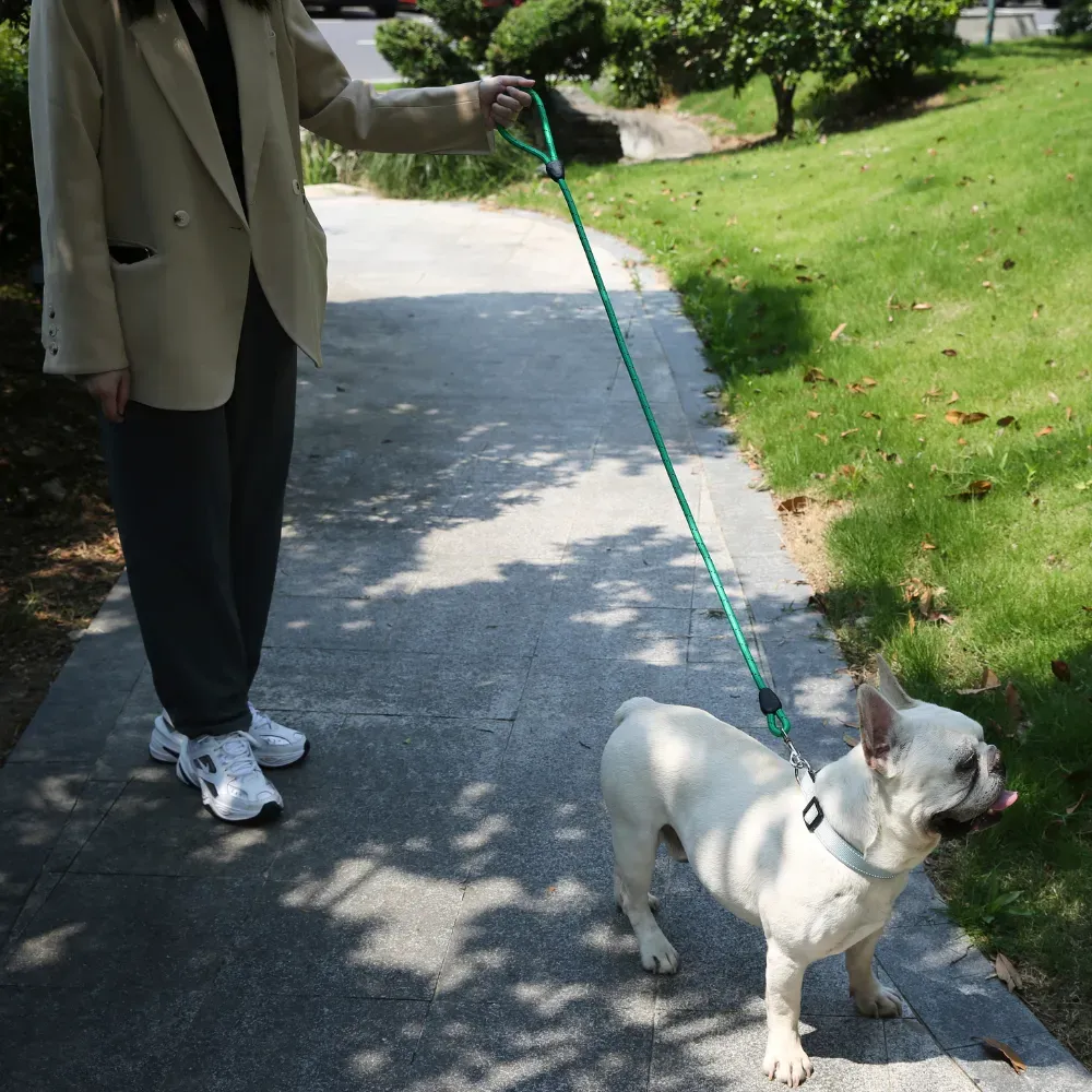 New pet leash