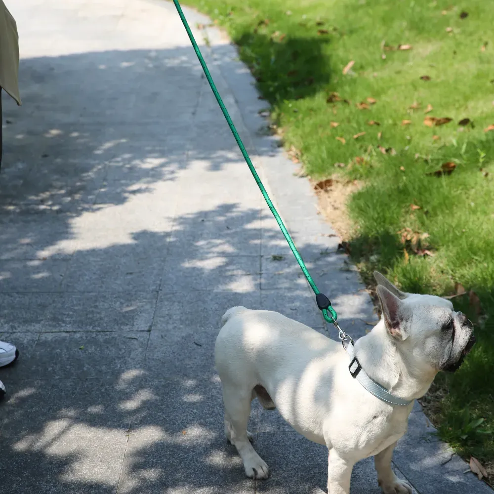 Great pet leash