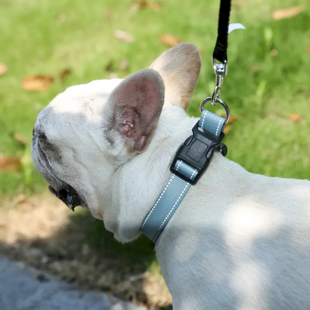 Sustainable Pet Products EcoFriendly GRS Material Adjustable Grey Dog Collar