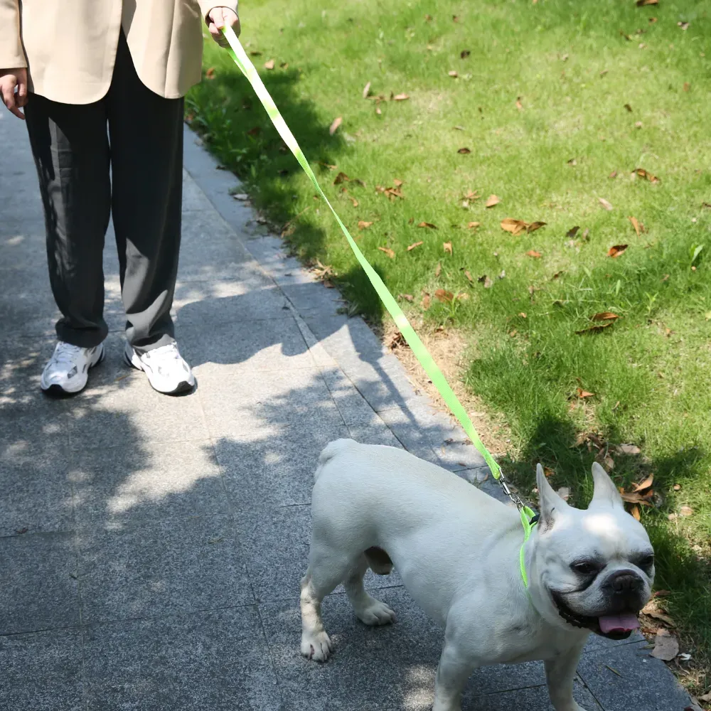 New Dog Leash Collar Set Hot