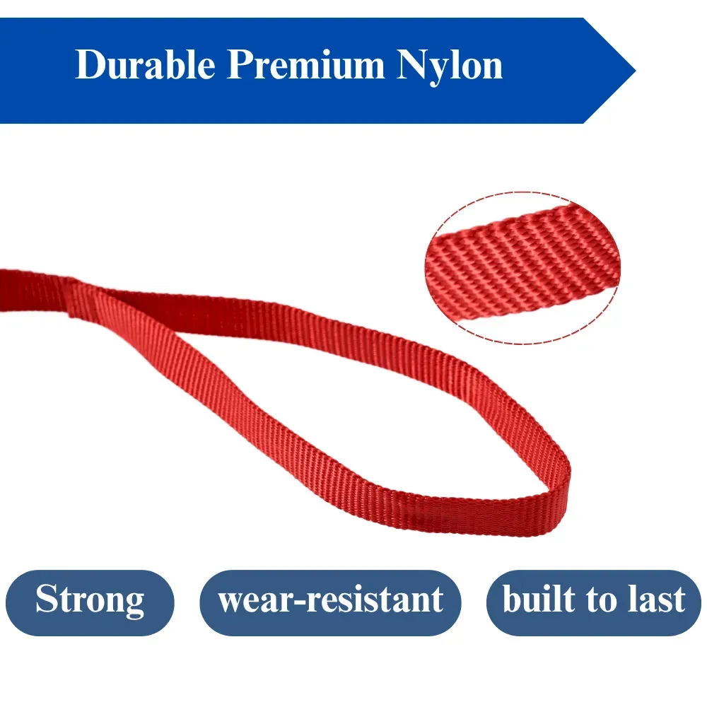 Pet Store Essentials Dog Walking Leash