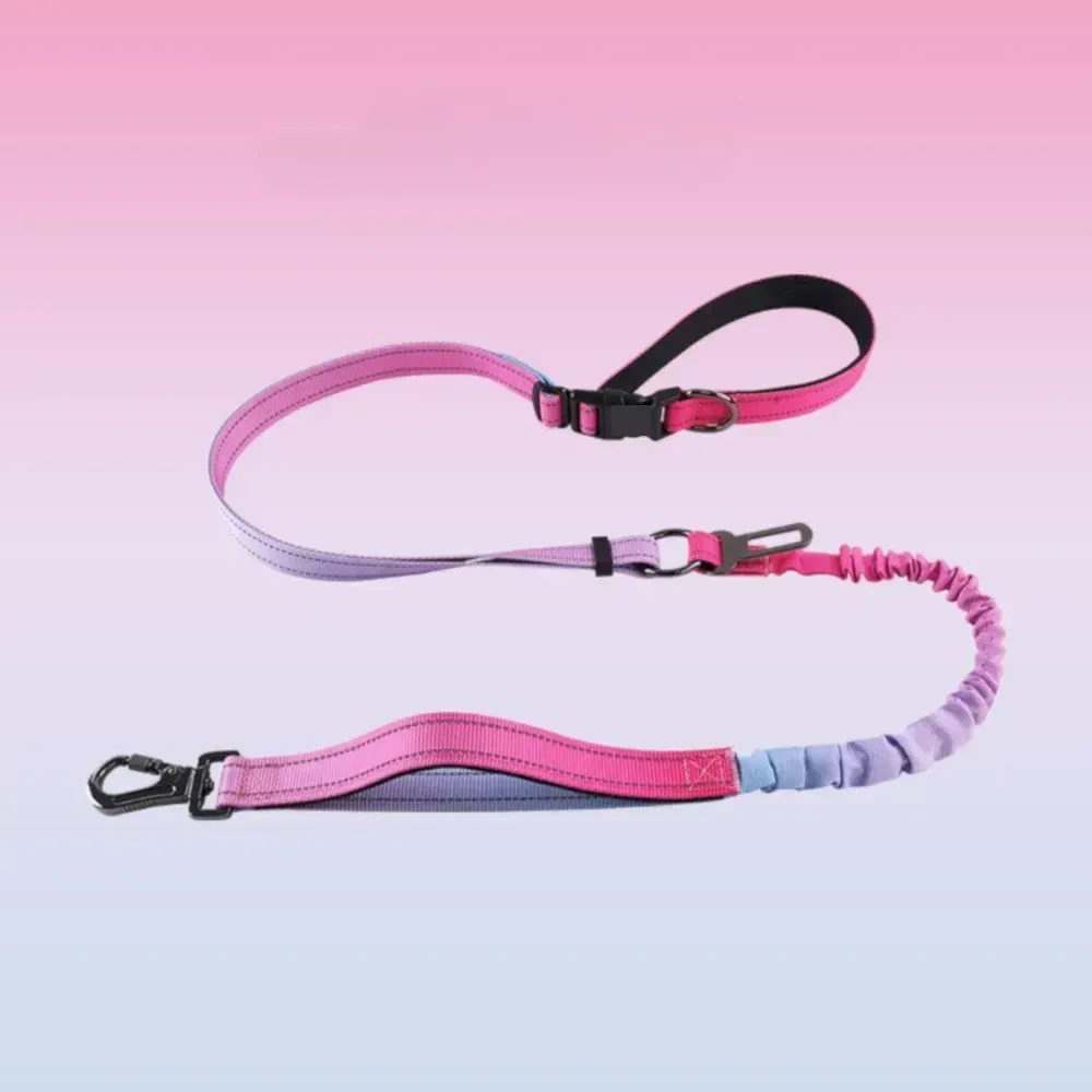 purple bungee pet leash