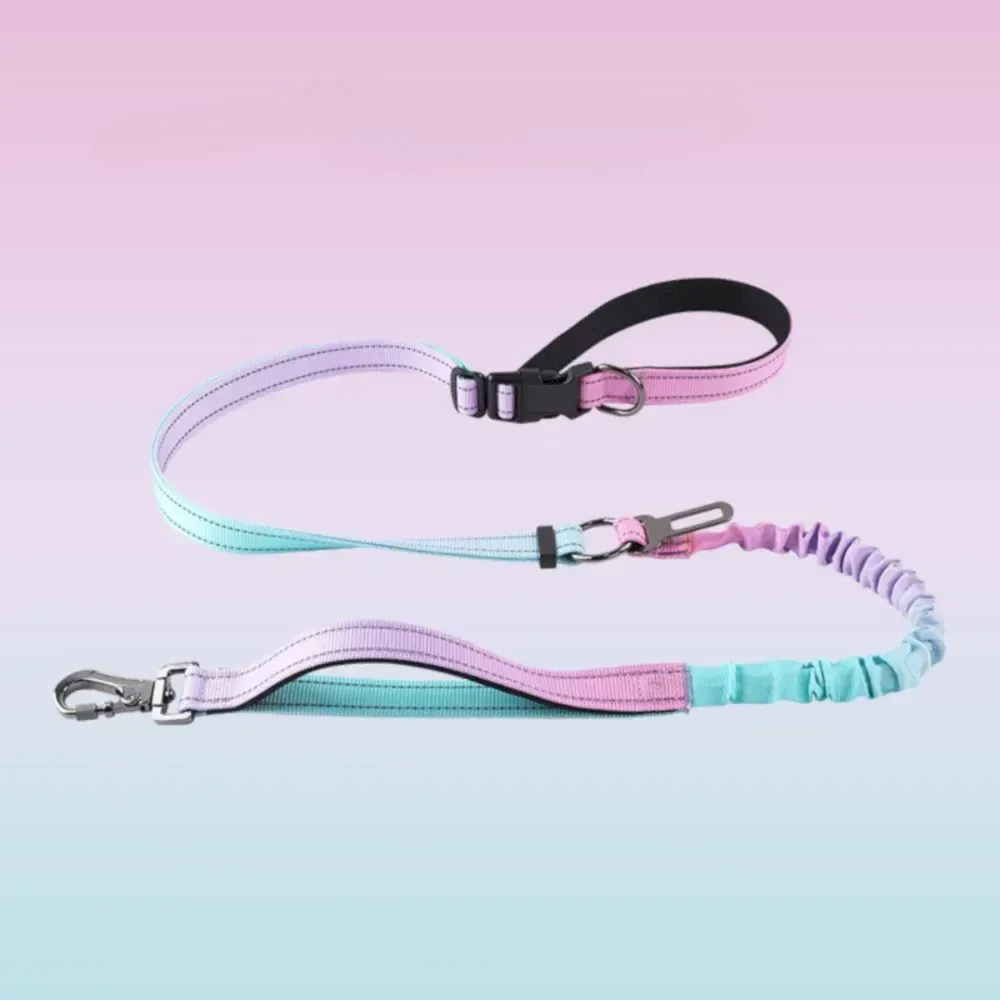 blue bungee pet leash