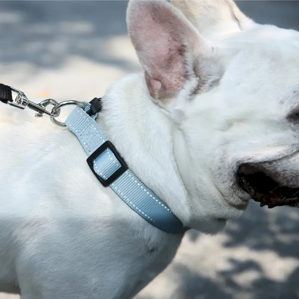 Durable Dog Collar EcoFriendly GRS Material Adjustable Grey Dog Collar