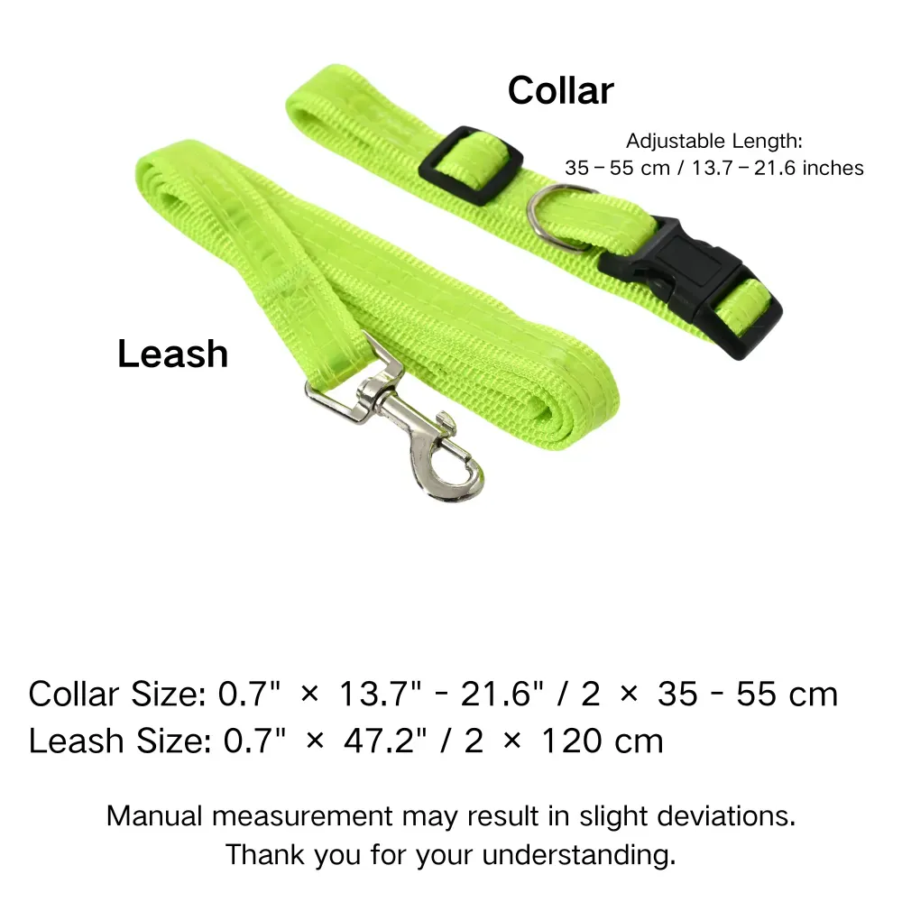 Dog Leash
