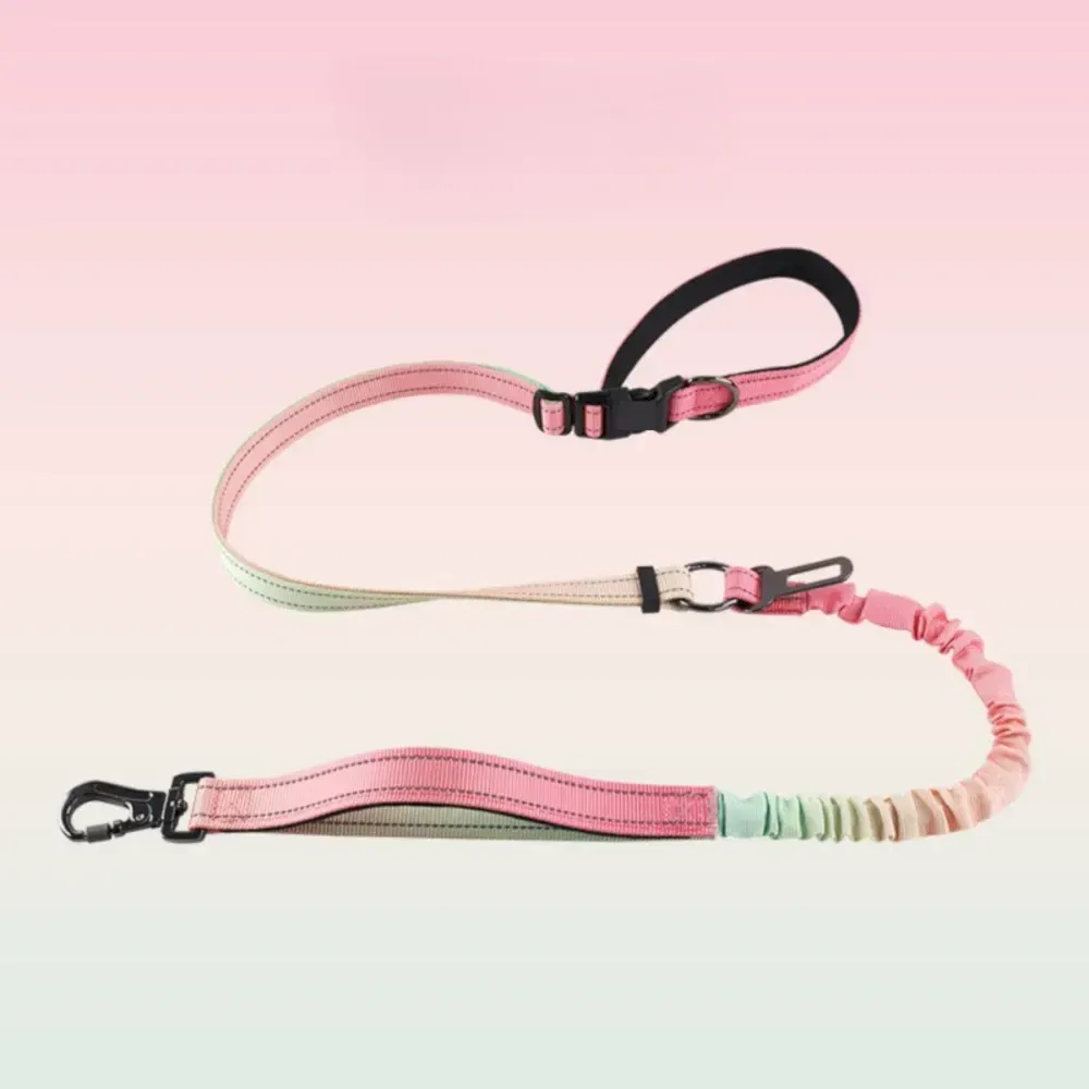 green bungee pet leash