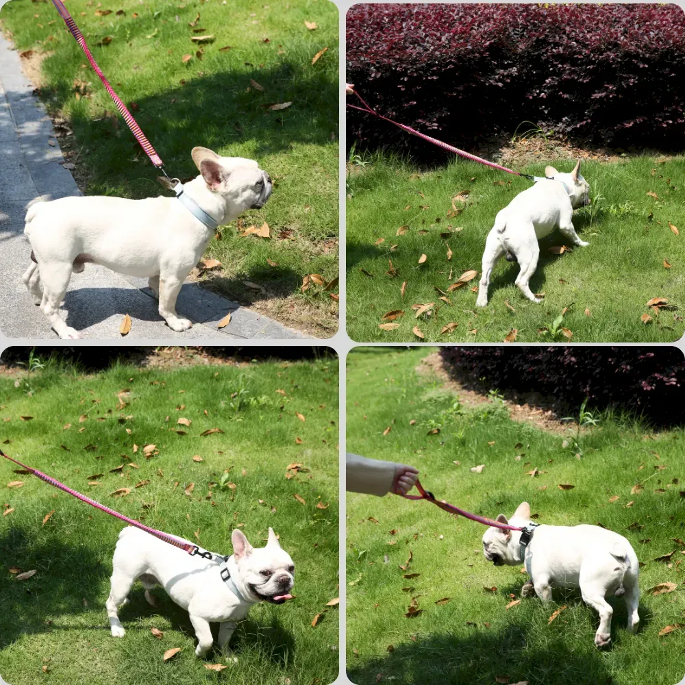 Adjustable Length Dog Leash Anti-Breakaway Multicolor Elastic Nylon Large Dog Leash