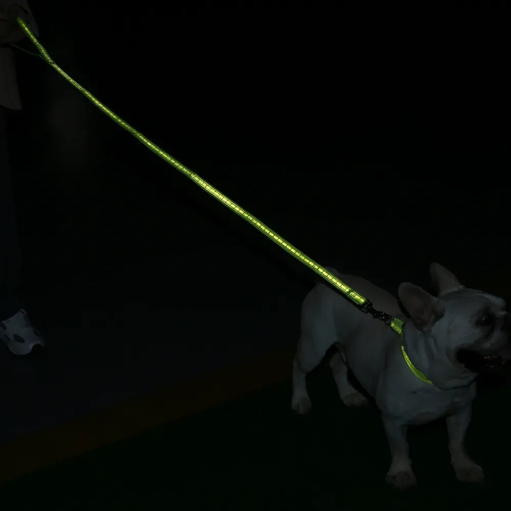 Dog Leash Collar Set Great