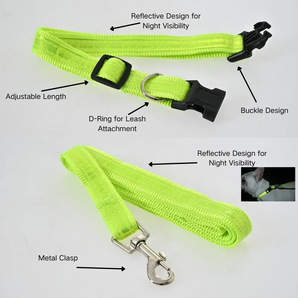 Great Dog Leash Collar Set Quality