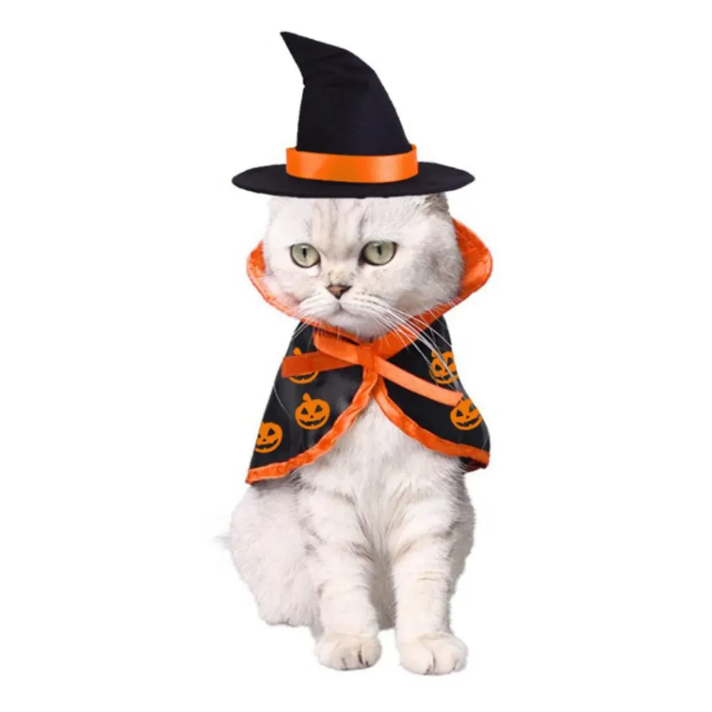 Halloween Party Pumpkin Print Cat Cloak Halloween Party Pumpkin Print Cat Cloak