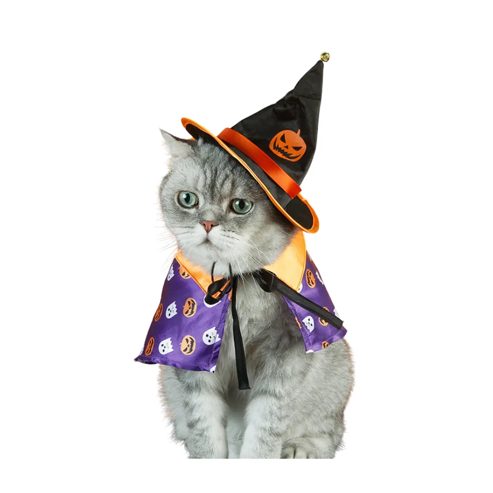 Cat Halloween Party Purple Cloak Cat Halloween Party Purple Cloak