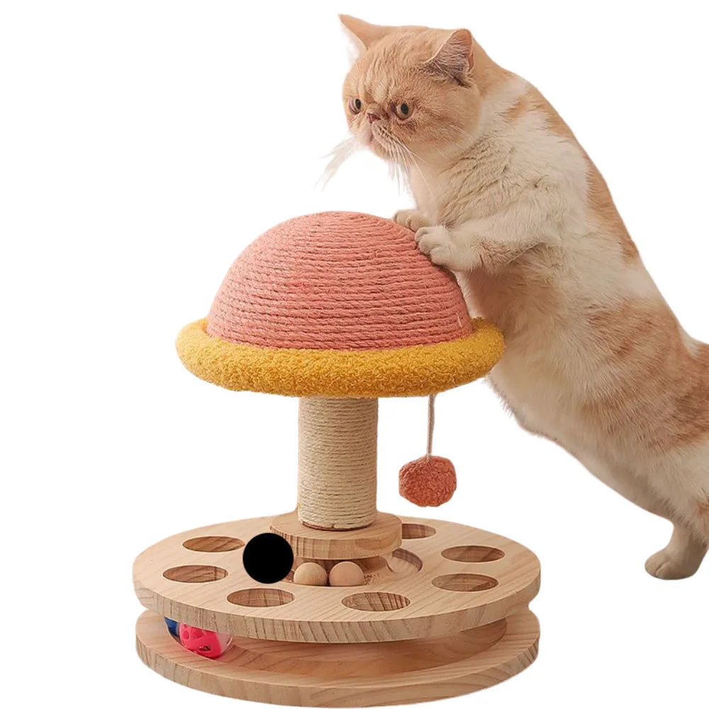Cute Cat Scratching Post Cute Cat Scratching Post