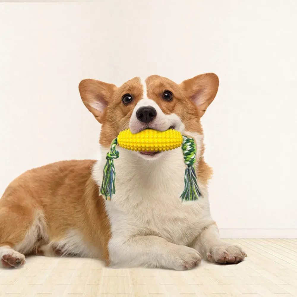 TPR Pet Toys_8 TPR Pet Toys_8