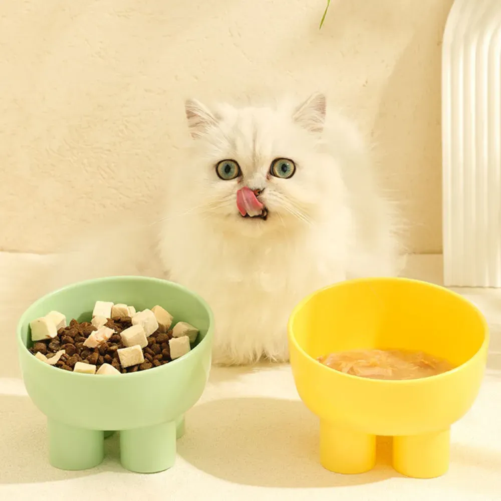 Cat Dog Food Bowls_7