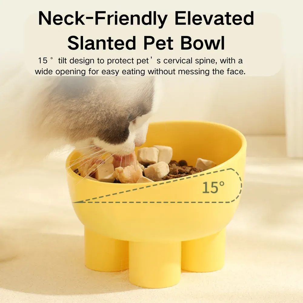 Cat Dog Food Bowls_8