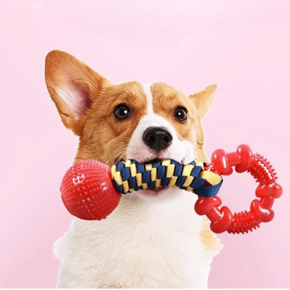 Dog TPR Rope Knot Toy bulk