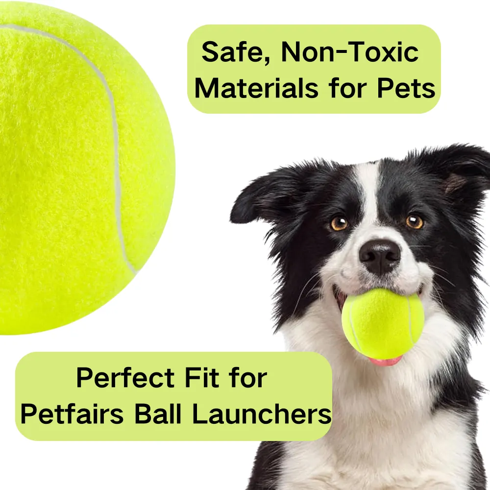 Safe Dog Balls