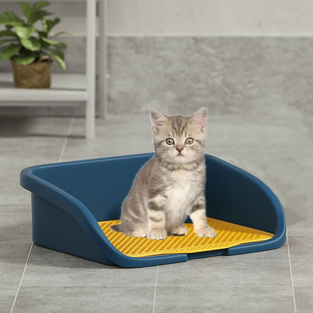 Dog Potty Tray