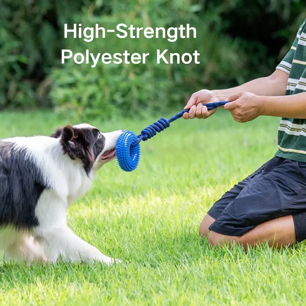 Teeth Cleaning Dog Toy wholesale