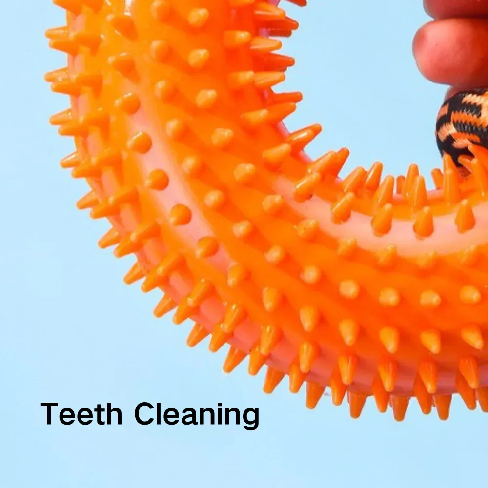 Teeth Cleaning Dog Toy factory