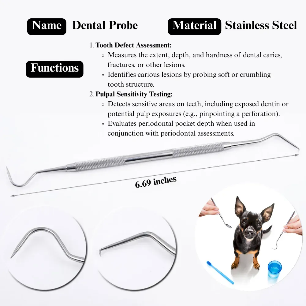 Professional Dog Dental Care Set