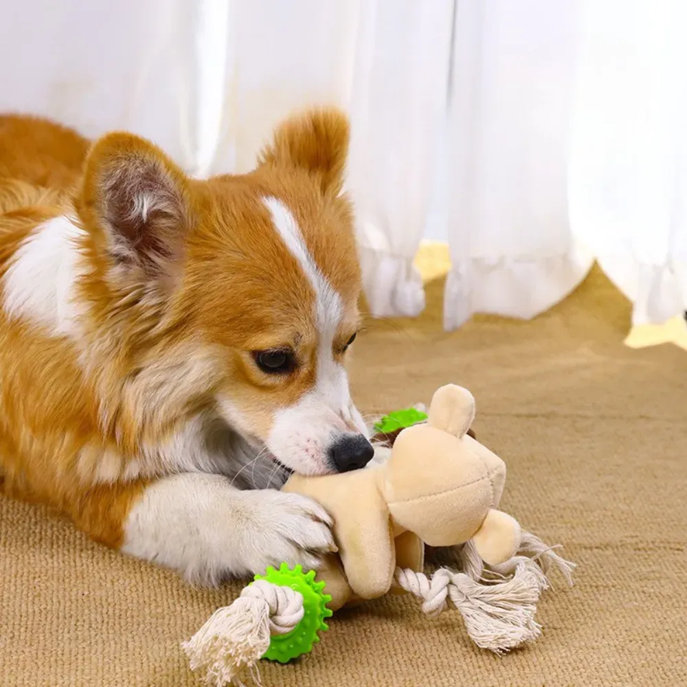 Koala Shaped Pet Toy wholesale