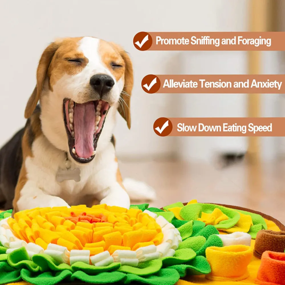 Anti-boredom dog toy