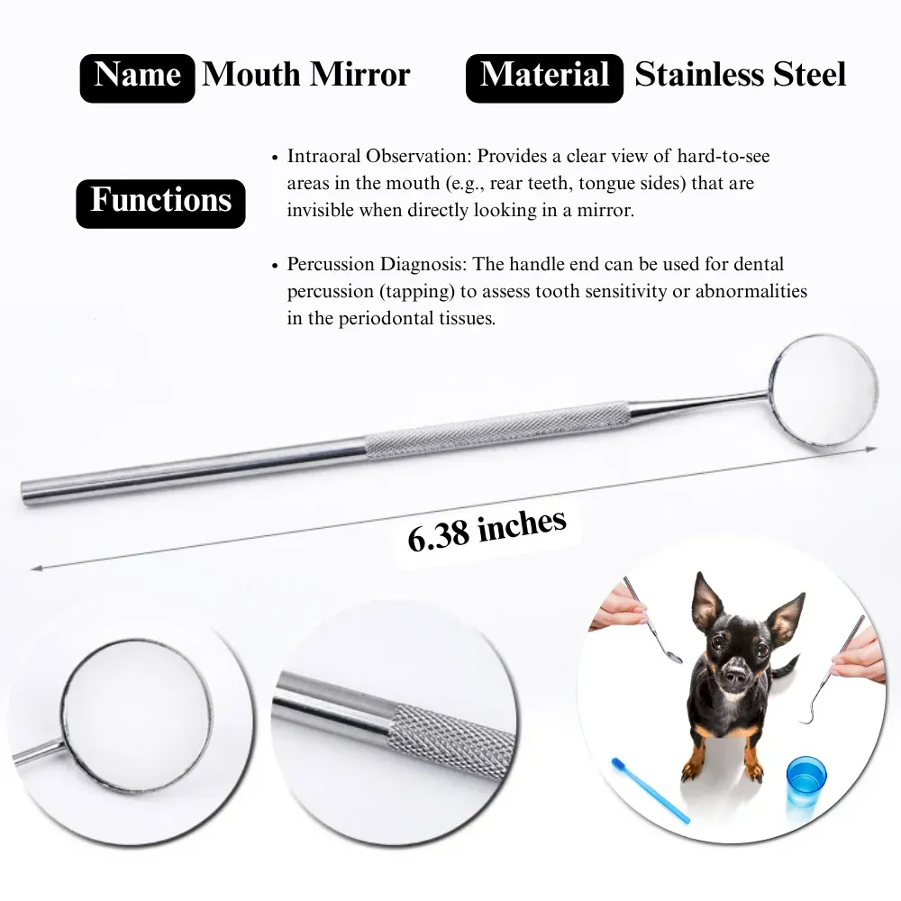 Professional Dog Dental Care Set