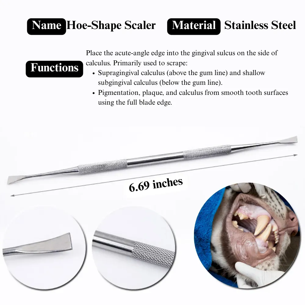 Professional Dog Dental Care Set