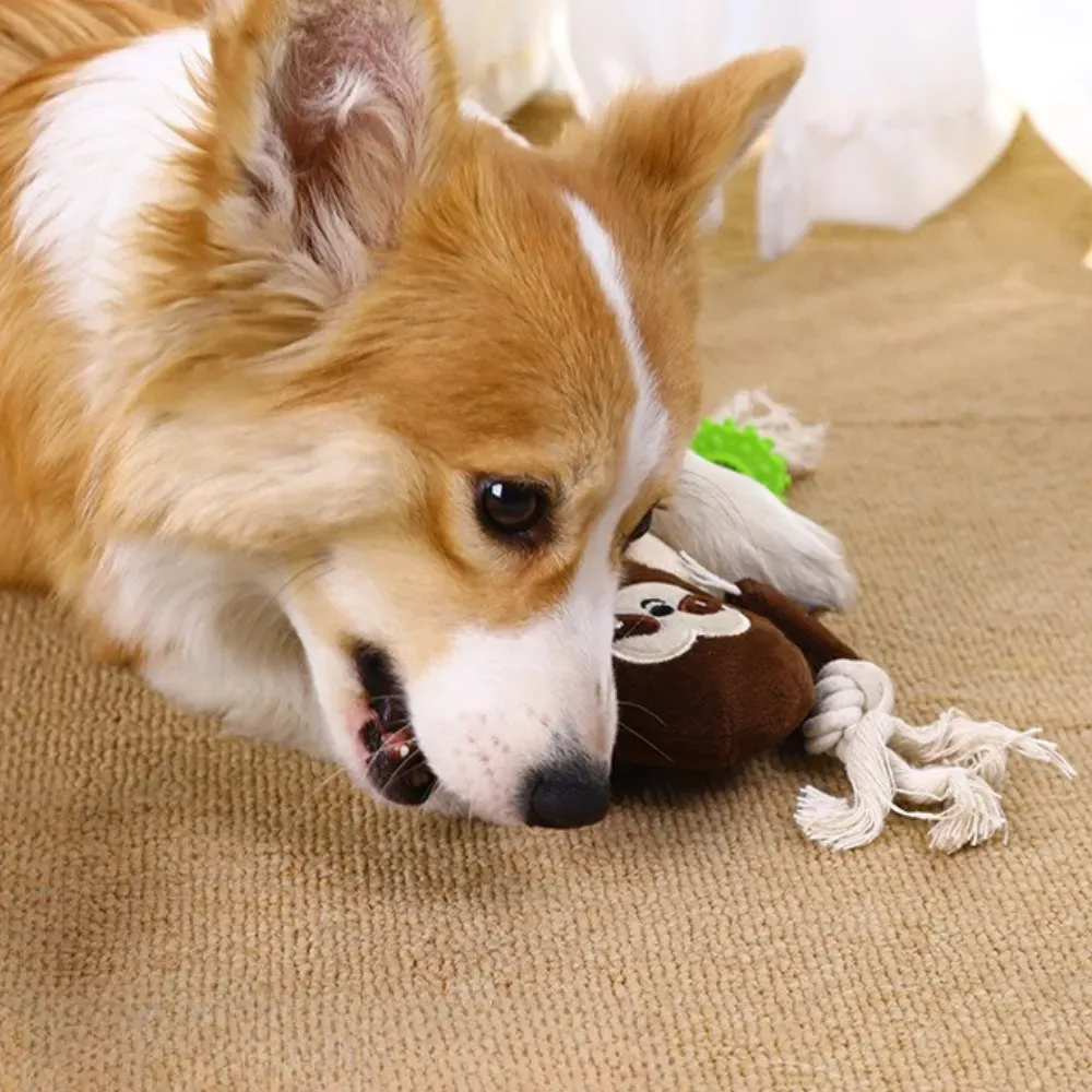 Sloth Shape Dog Toy bulk