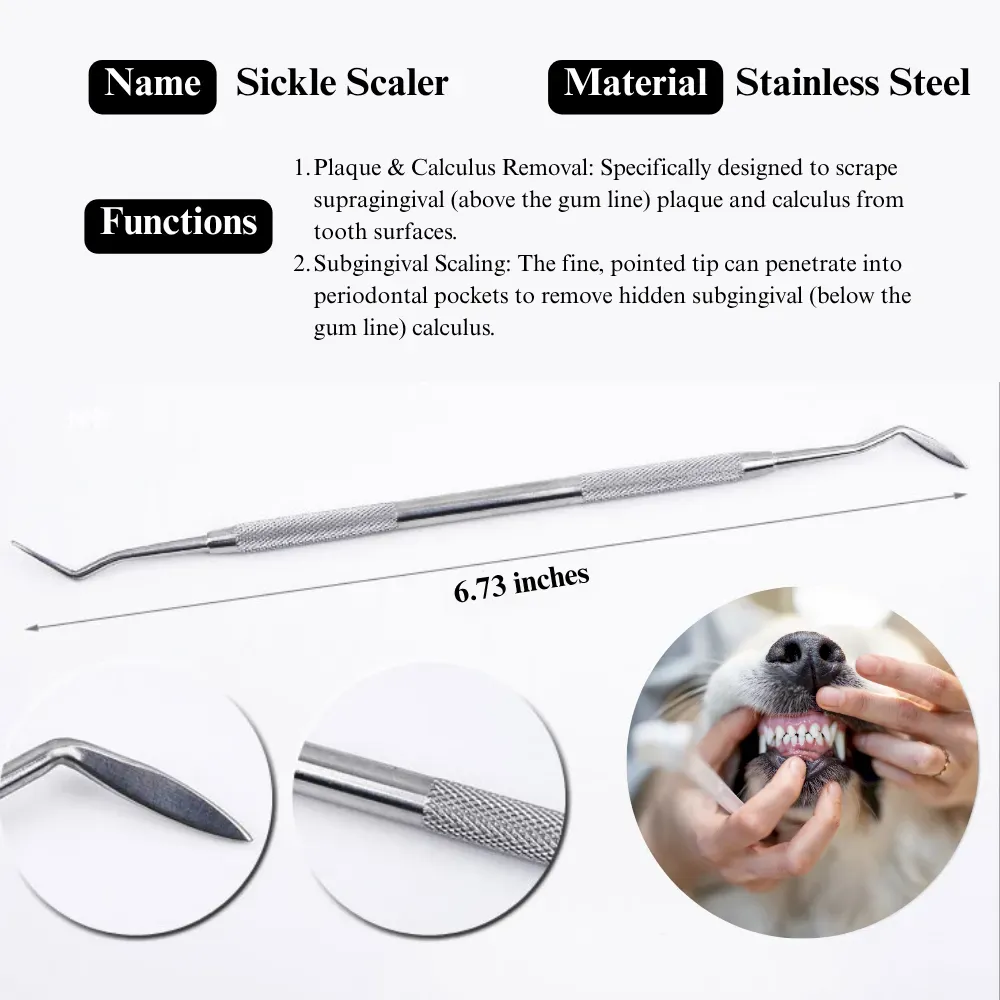 Professional Dog Dental Care Set