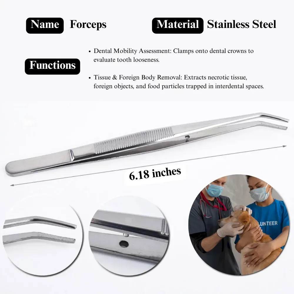 Professional Dog Dental Care Set