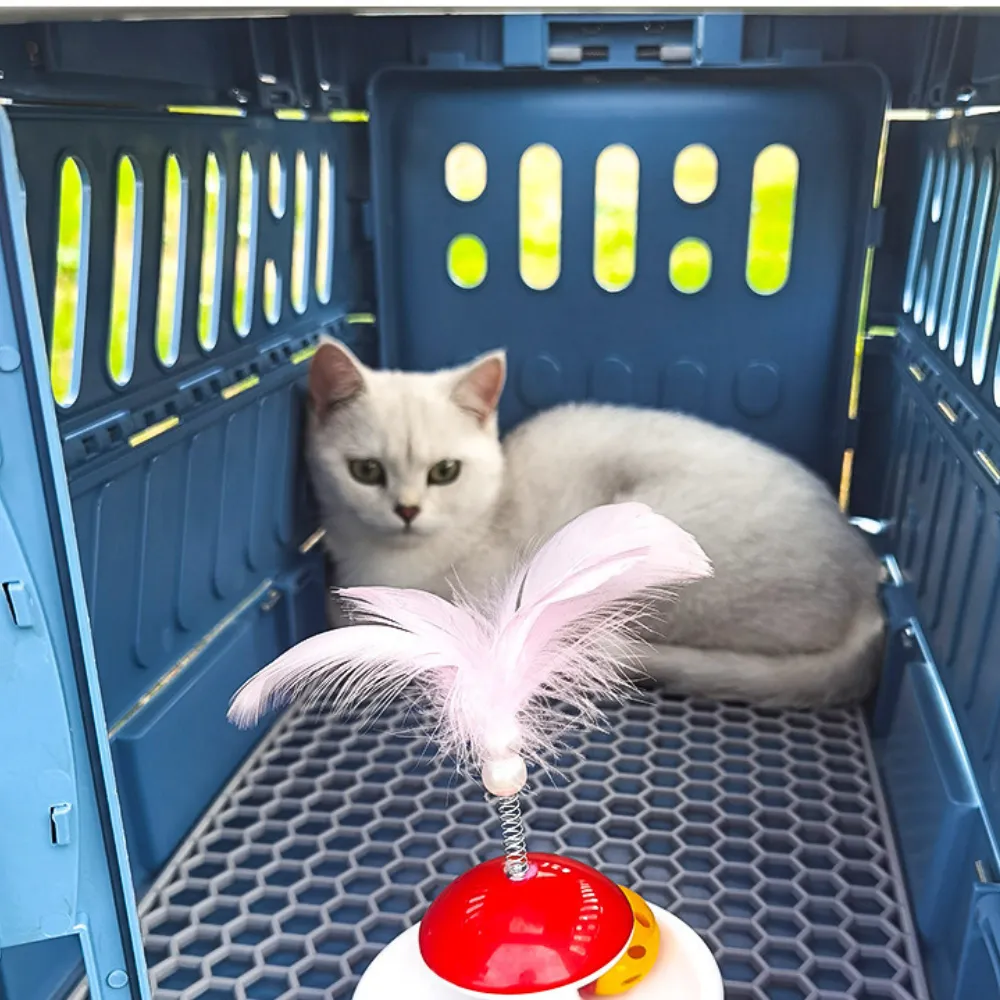 Blue Pet Crate Blue Pet Crate