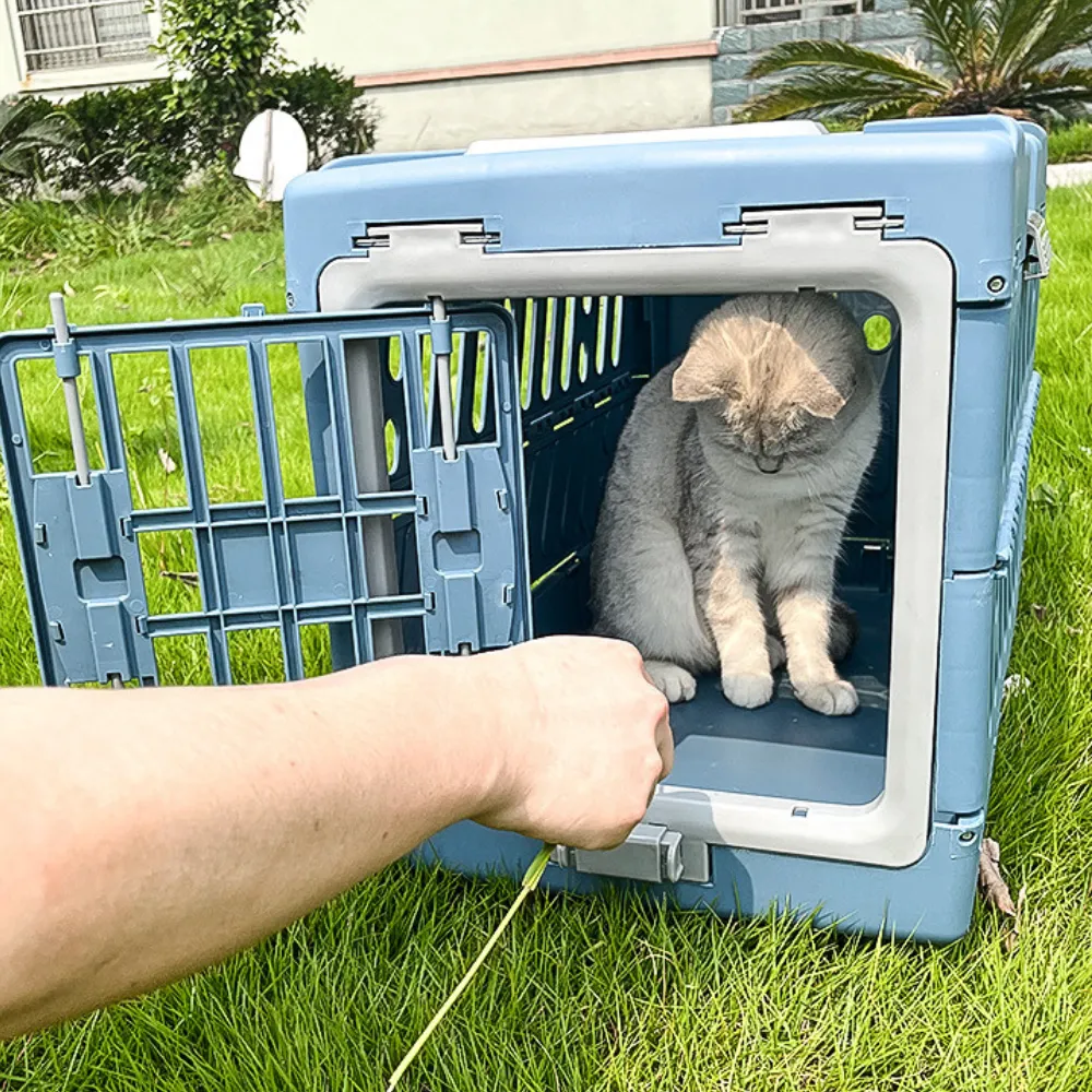 Blue Dog Pet Crate Blue Dog Pet Crate