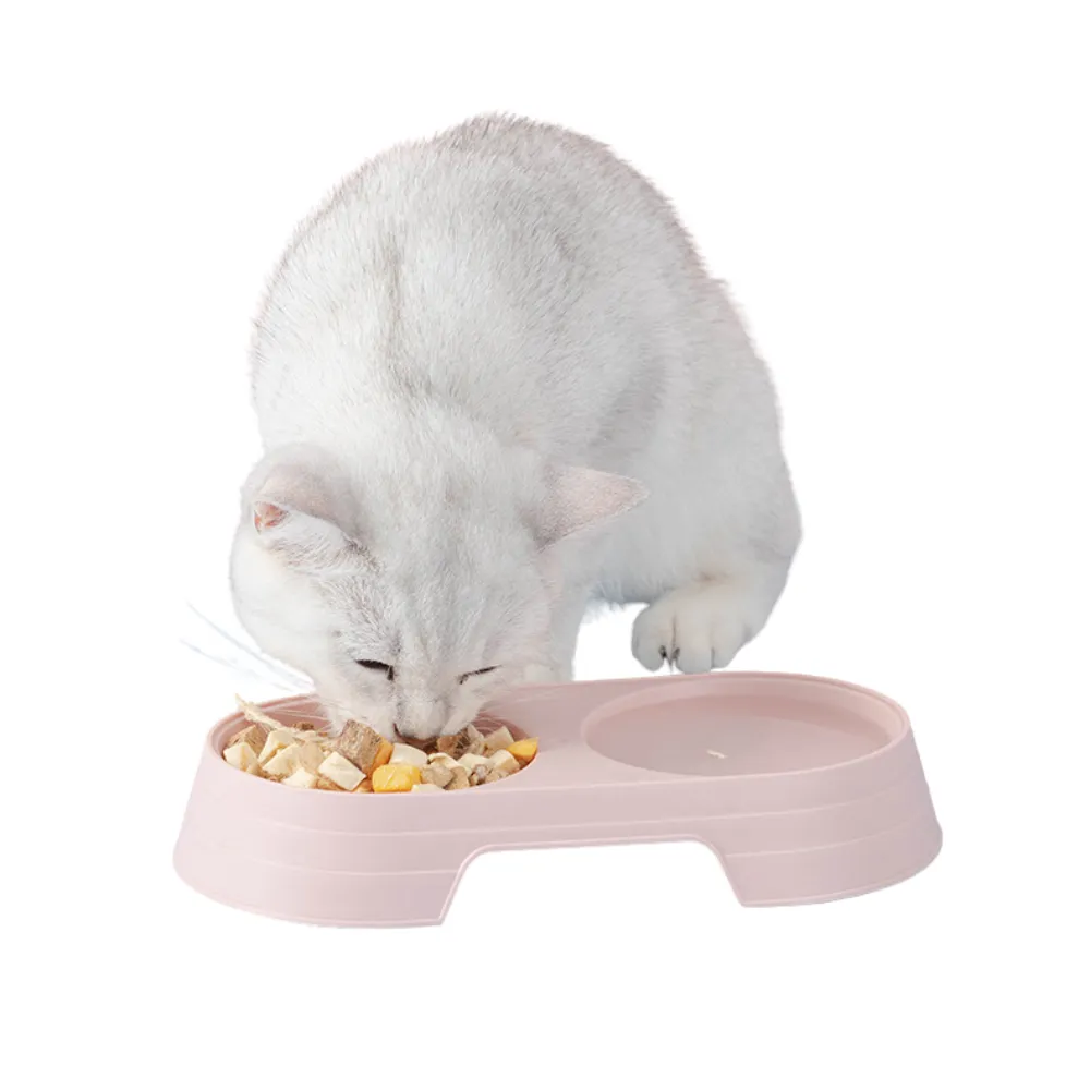 Cat Bowl