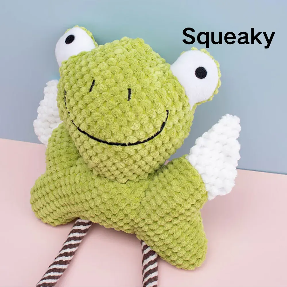 squeaky Frog chew toy squeaky Frog chew toy