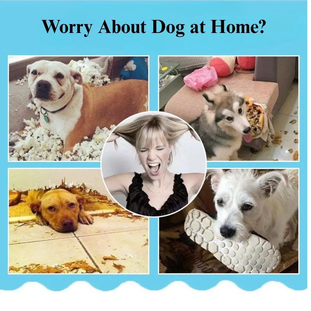 Knotted Rope Toy for Dogs wholeslae