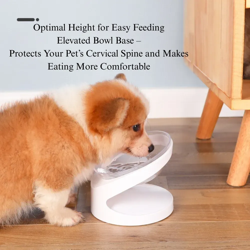 neck protection bowl Tilted Cat Bowl Ergonomic Raised Feeding Dish Neck Protection Pet Bowl