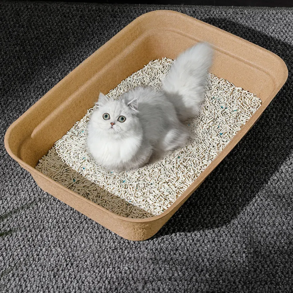 Disposable Cat Litter Box_4