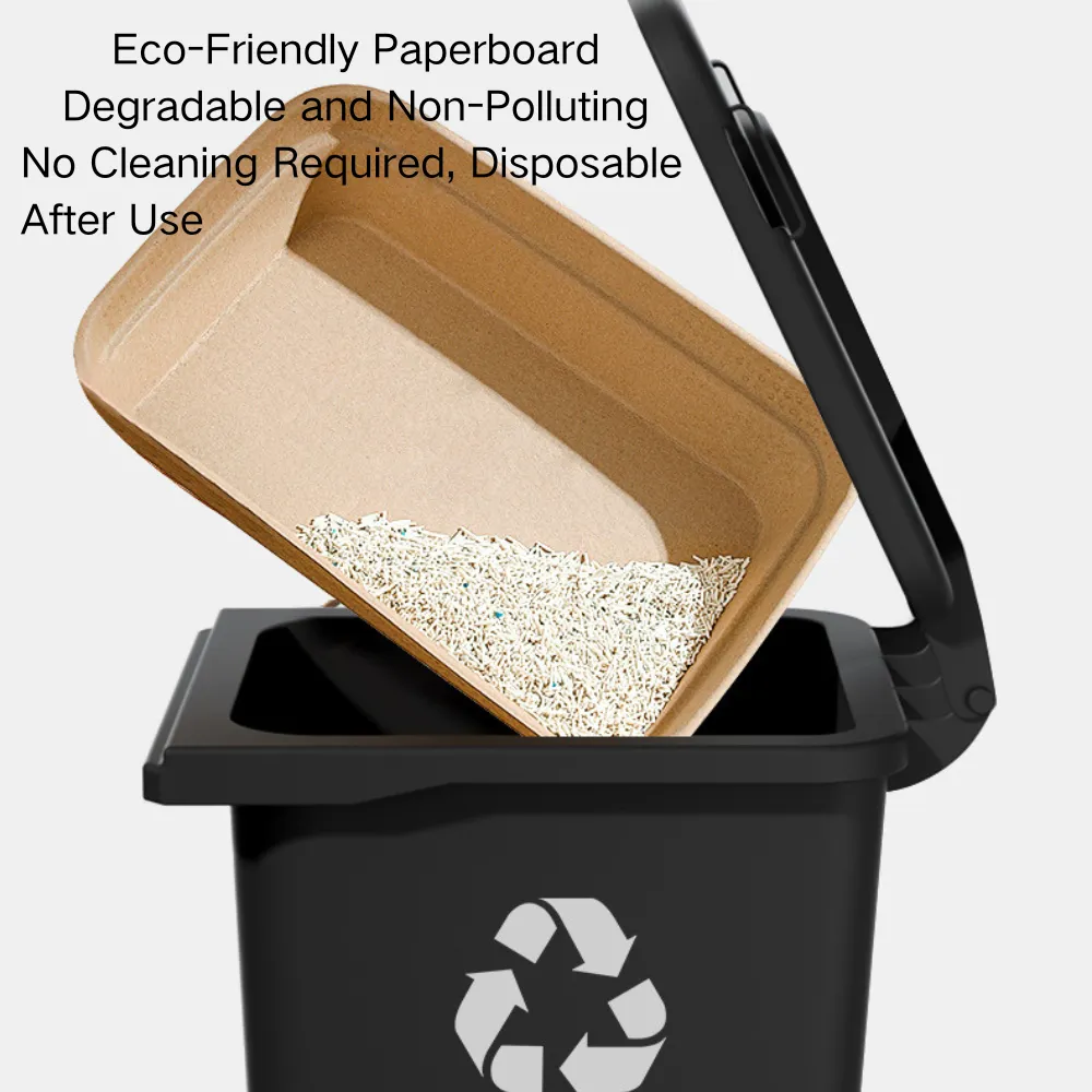 litter box