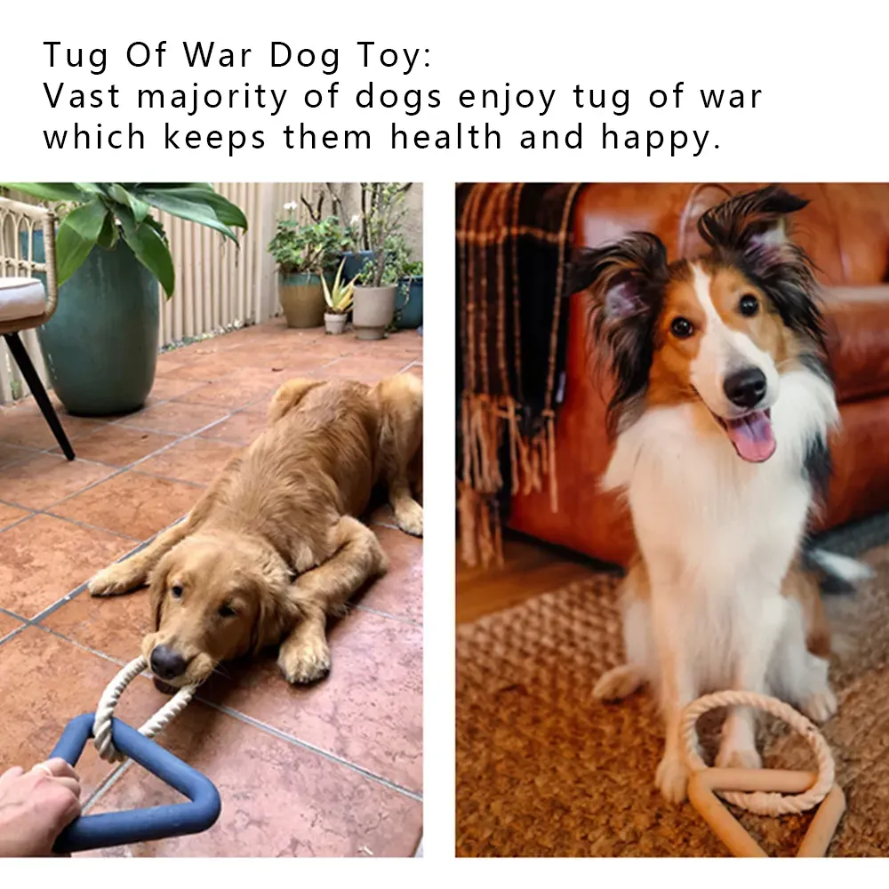 Triangle TPR Dog Toy