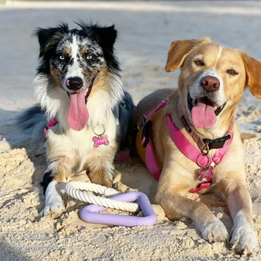 TPR Dog Ring Toy