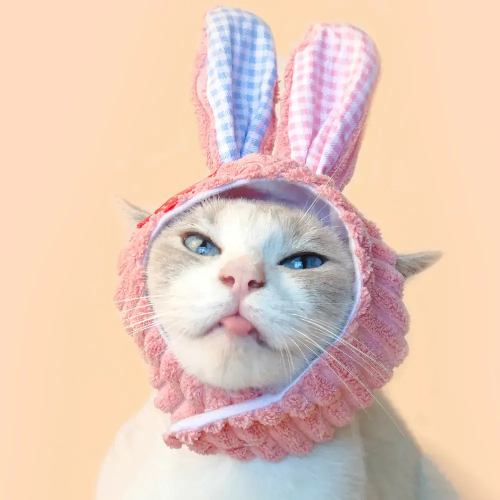 Cute Bunny Patch Pet Costume Hat for Cats and Small Dogs