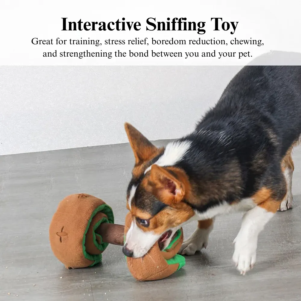 Interactive Dumbbell Shaped Dog Toy with Squeaker and Treat Holder