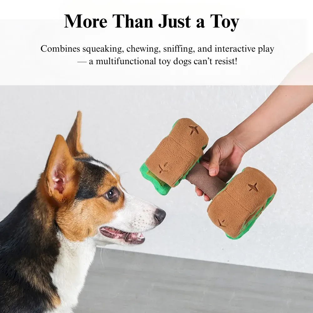 Interactive Dumbbell Shaped Dog Toy with Squeaker and Treat Holder